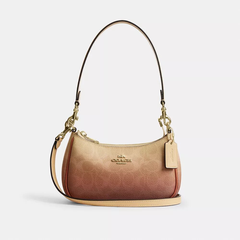 Teri Mini-crossbody-taske i Ombre Signature Canvas