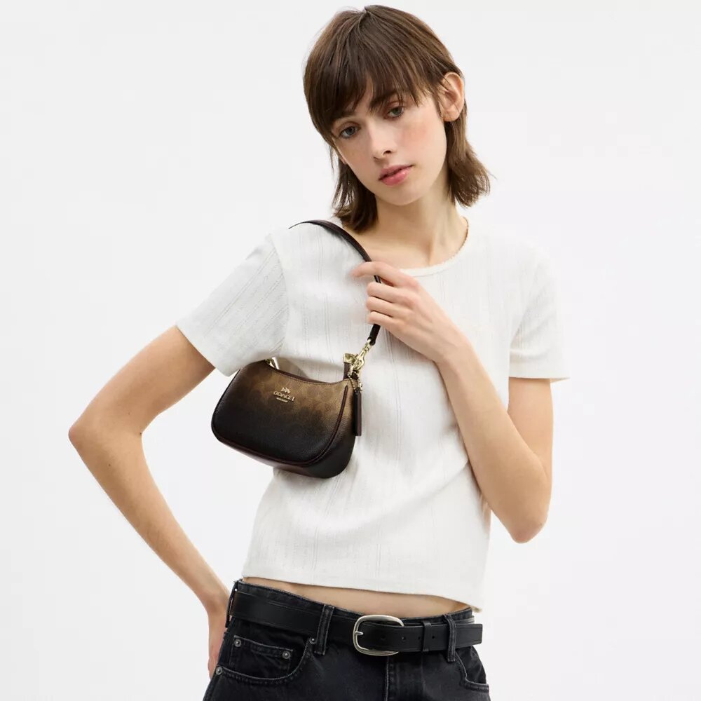 Teri Mini-crossbody-taske i Ombre Signature Canvas