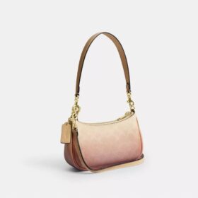 Teri Mini-crossbody-taske i Ombre Signature Canvas