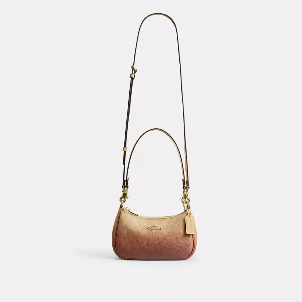 Teri Mini-crossbody-taske i Ombre Signature Canvas