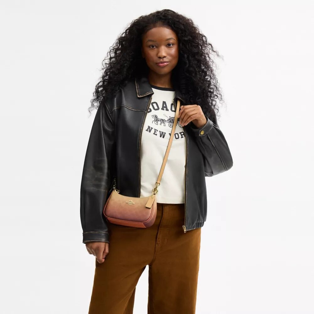 Teri Mini-crossbody-taske i Ombre Signature Canvas
