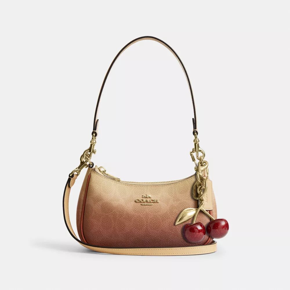 Teri Mini-crossbody-taske i Ombre Signature Canvas