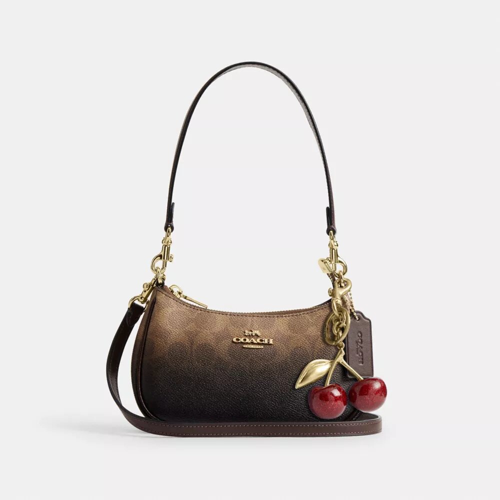 Teri Mini-crossbody-taske i Ombre Signature Canvas