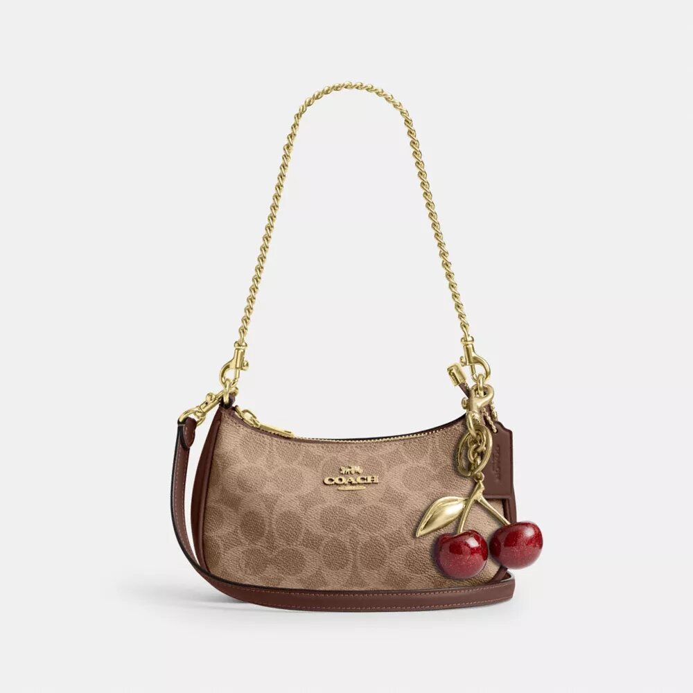 Teri Mini-crossbody-taske i Signature Canvas