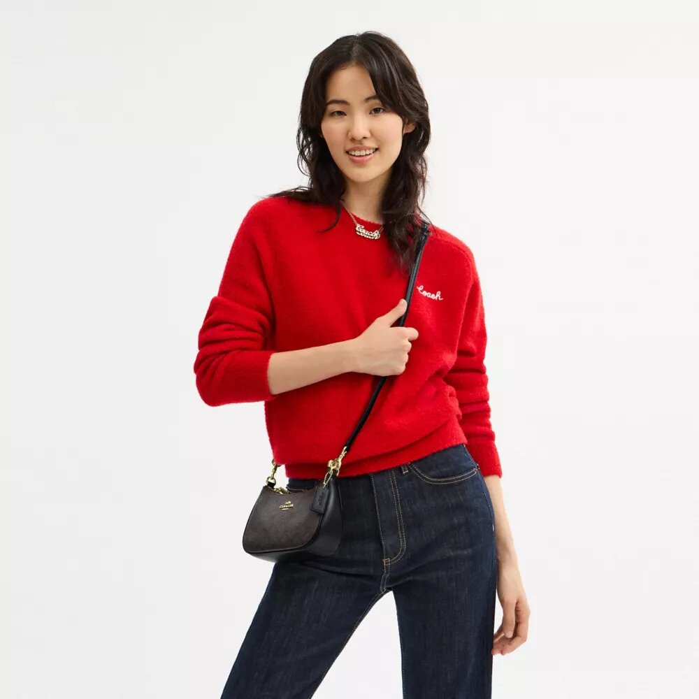 Teri Mini-crossbody-taske i Signature Canvas