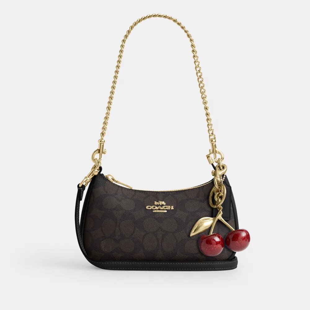 Teri Mini-crossbody-taske i Signature Canvas
