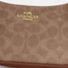 Teri Mini-crossbody-taske i Signature Canvas