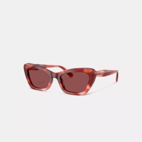 Wire Cat Eye-solbriller